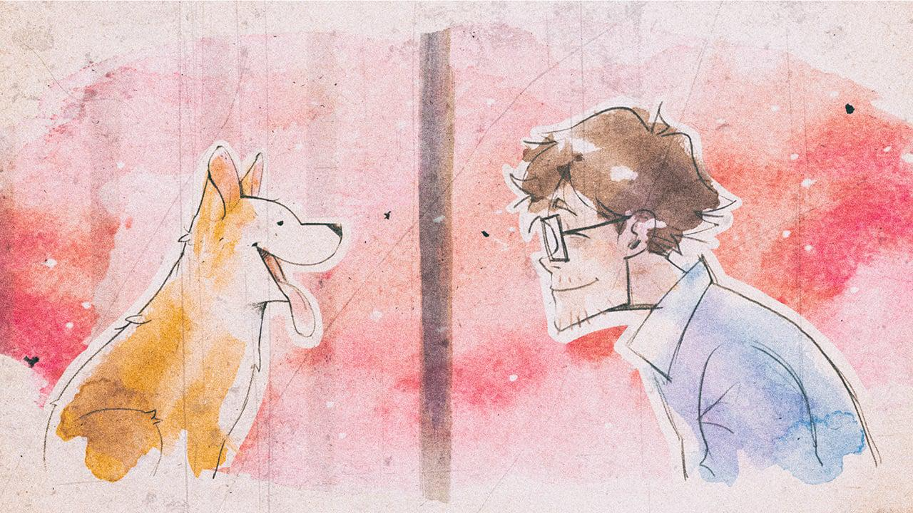 第 0 张,共 5 张