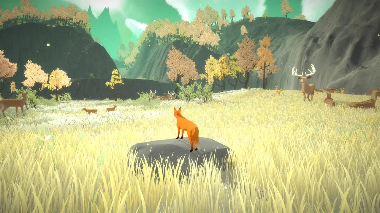 第 1 张,共 5 张
